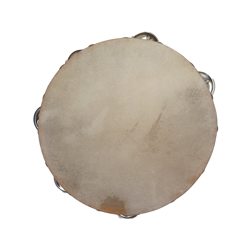 Halifax 8″ Tambourine with Head (Single Row) PERHA1802